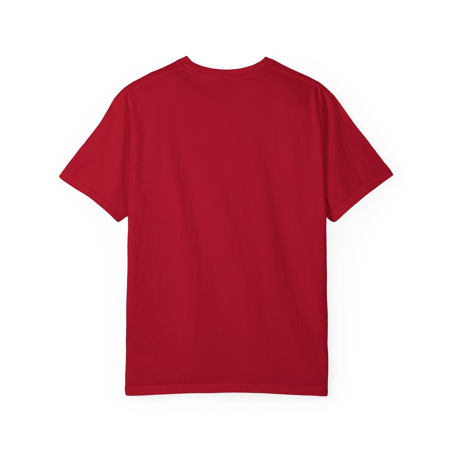 Comfort Colors "Dream Big, Start Small" Motivational Tee