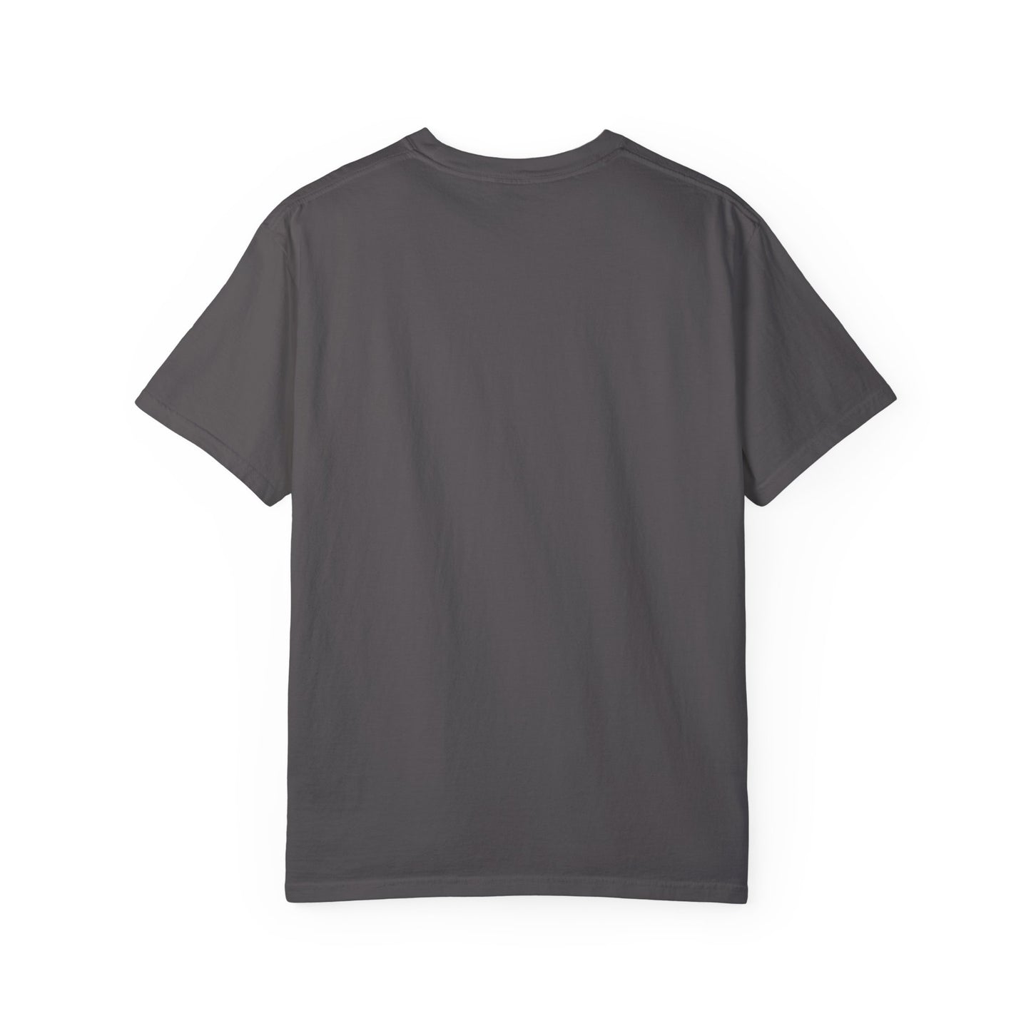 Comfort Colors "Dream Big, Start Small" Motivational Tee
