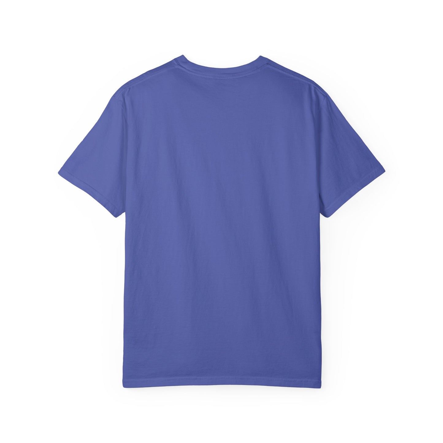 Comfort Colors "Dream Big, Start Small" Motivational Tee