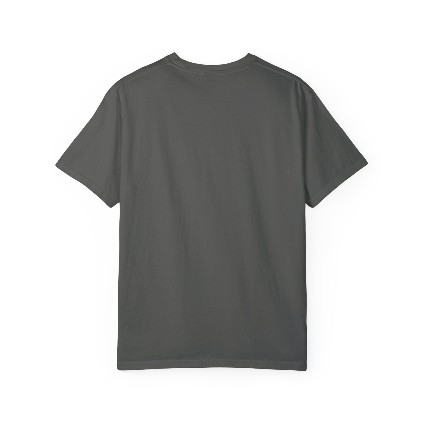 Comfort Colors "Dream Big, Start Small" Motivational Tee